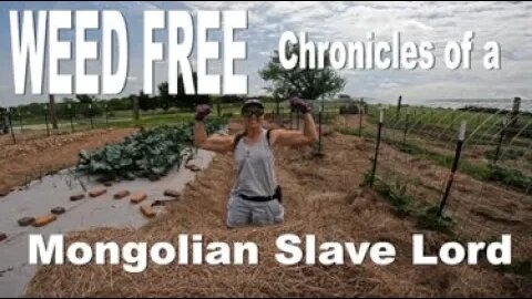 WEED FREE- The Chronicles of a Mongolian slave lord