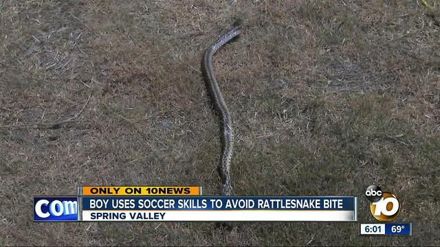Boy uses soccer skills to avoid rattlesnake bite