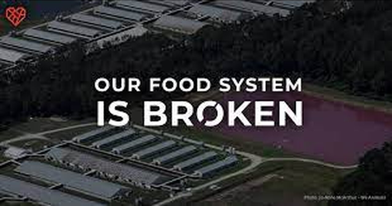 You Can't Stockpile out of a "Broken Food System"