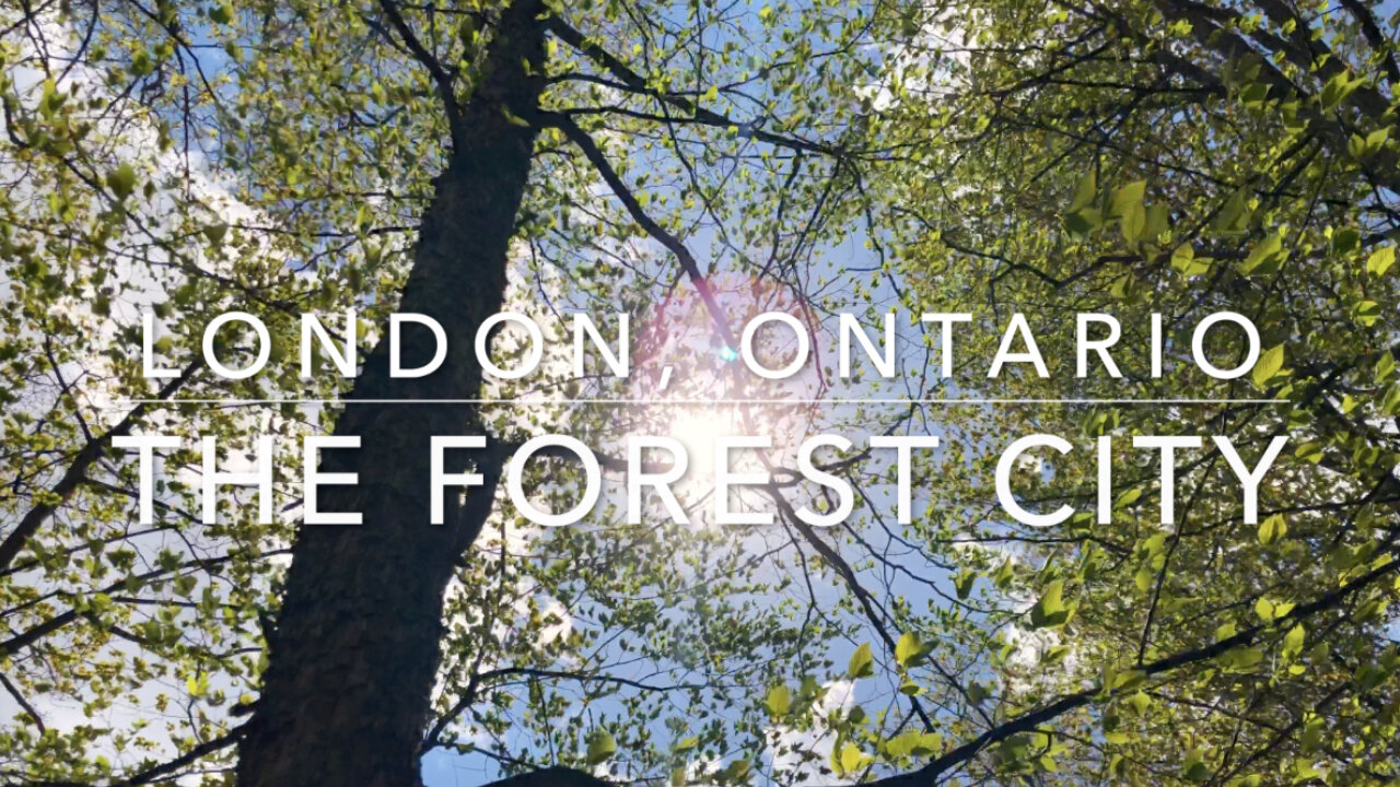 London - The Forest City