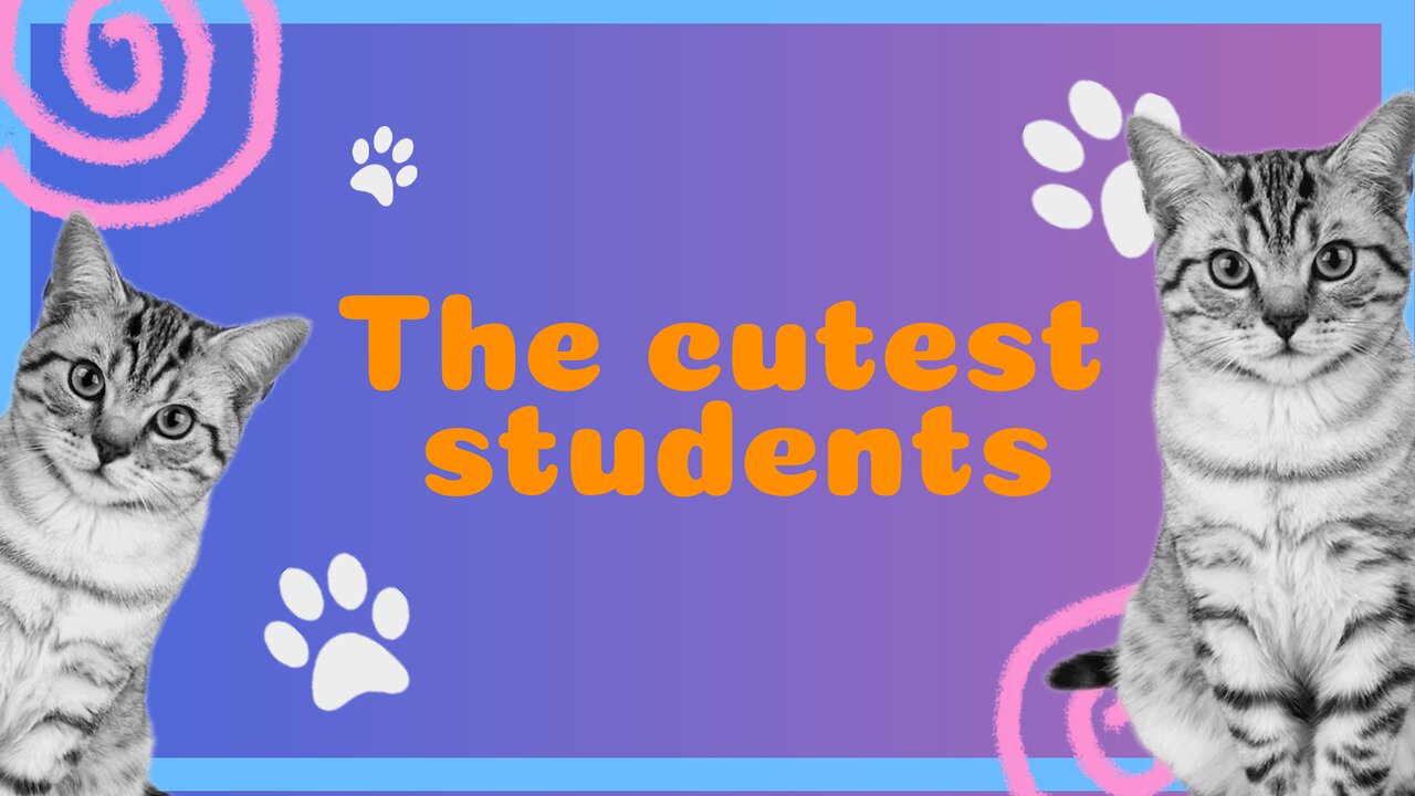 The cutest students: cute cats in the classroom