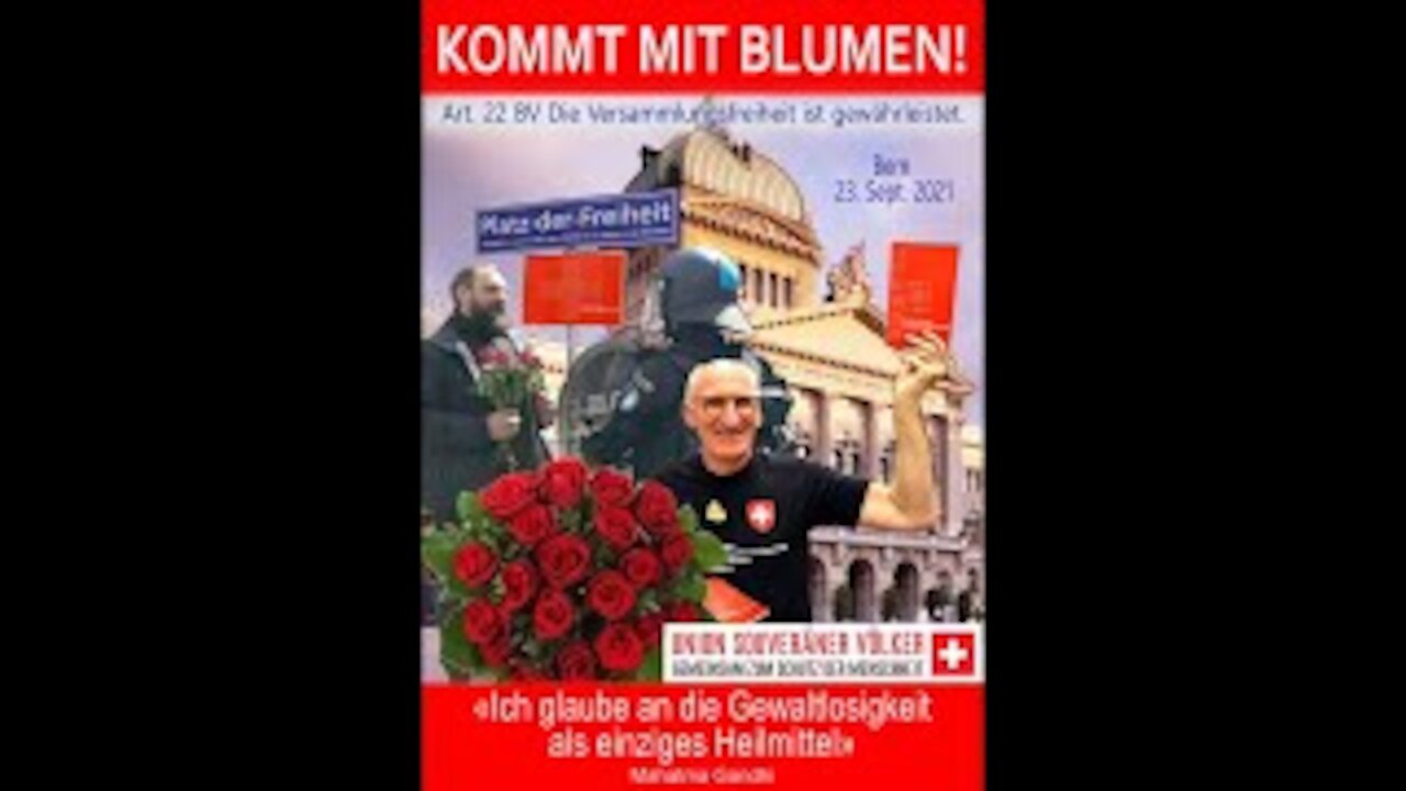 Teil 1 - Kommt mit Blumen 🌷nach Bern