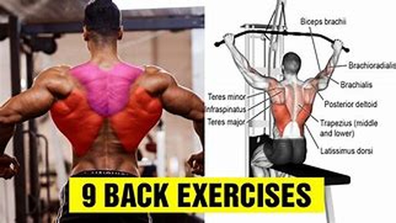 9 Exercises To Build A Big Back - Gym Body Motivation