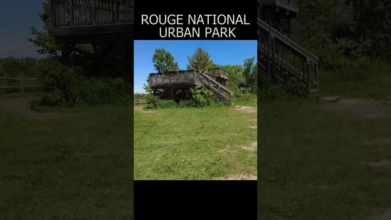 Rouge National Urban Park #short #shortvideo #shortsvideo #shorts