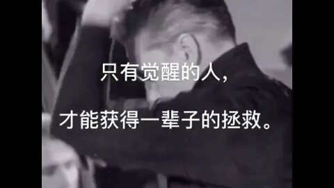 3月20(国际版)最新波爆(开-悟-堂)