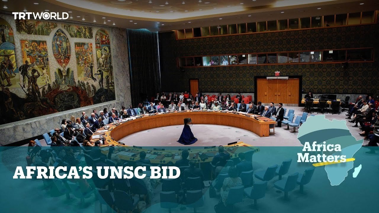 Africa Matters: Africa's UNSC Bid