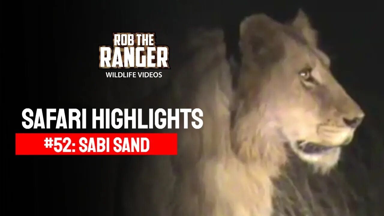 Safari Highlights #52: 21 - 23 July 2010 | Sabi Sand Nature Reserve | Latest Wildlife Sightings