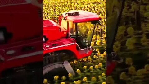 amazing spray machine for sunflower fields