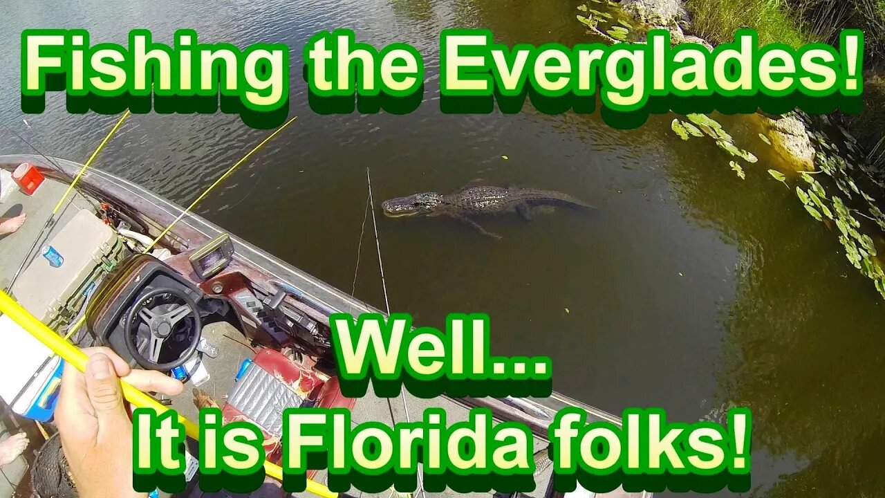 Fishing the Florida Everglades! Part 2 #fishingflorida #fishing