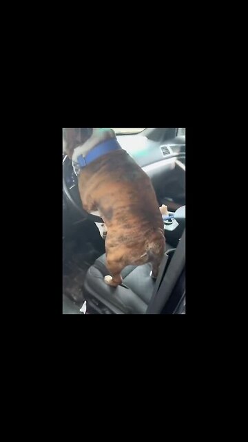 Master, you have understood everything wrong....