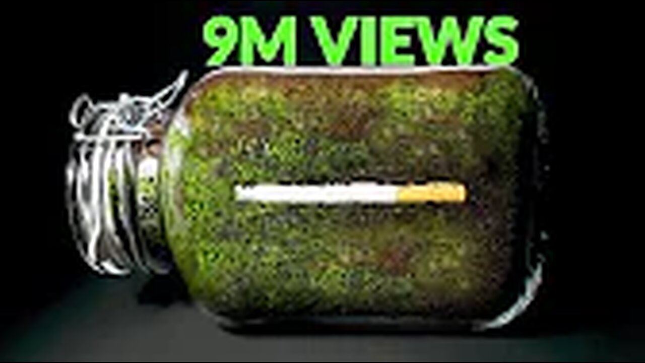 CIGARETTE IN SOIL - 1 YEAR Time Lapse [8K](720P_HD)