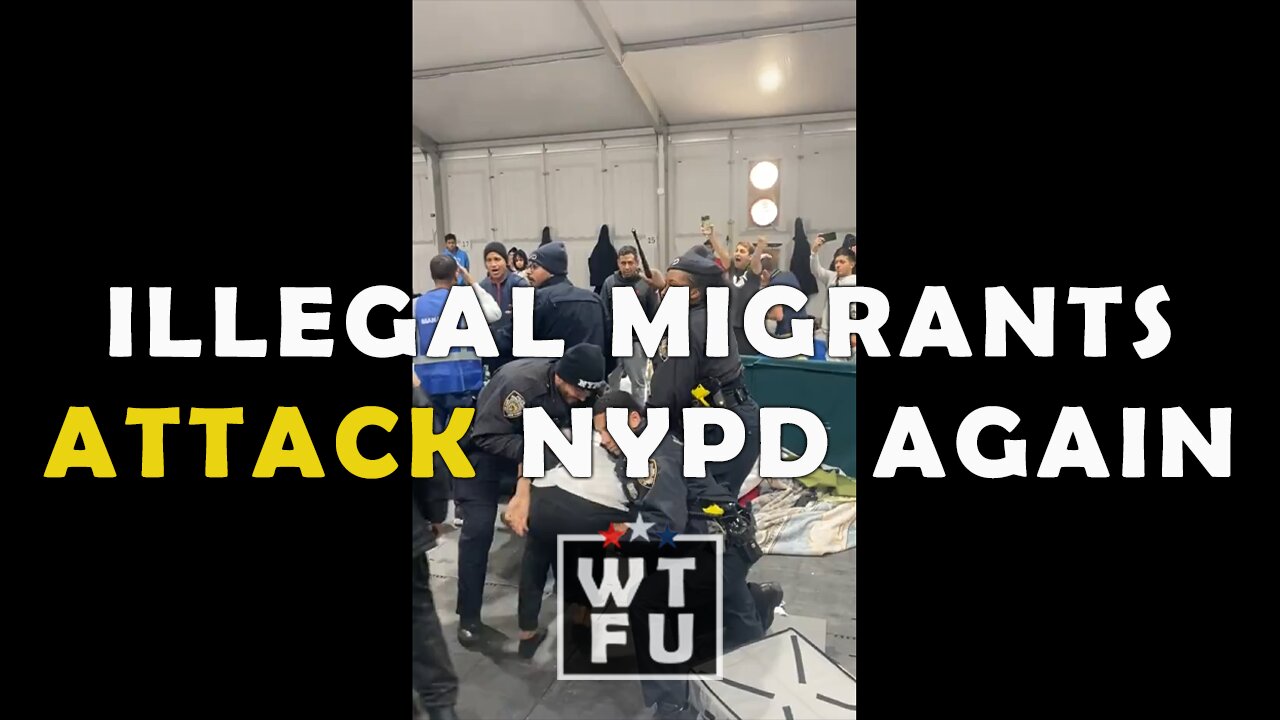 Illegal migrants attacked NYPD officers again