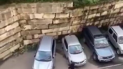 Wild: Woman Notices Something Very Wrong With The Wall Behind Her Car, Then This Happened…