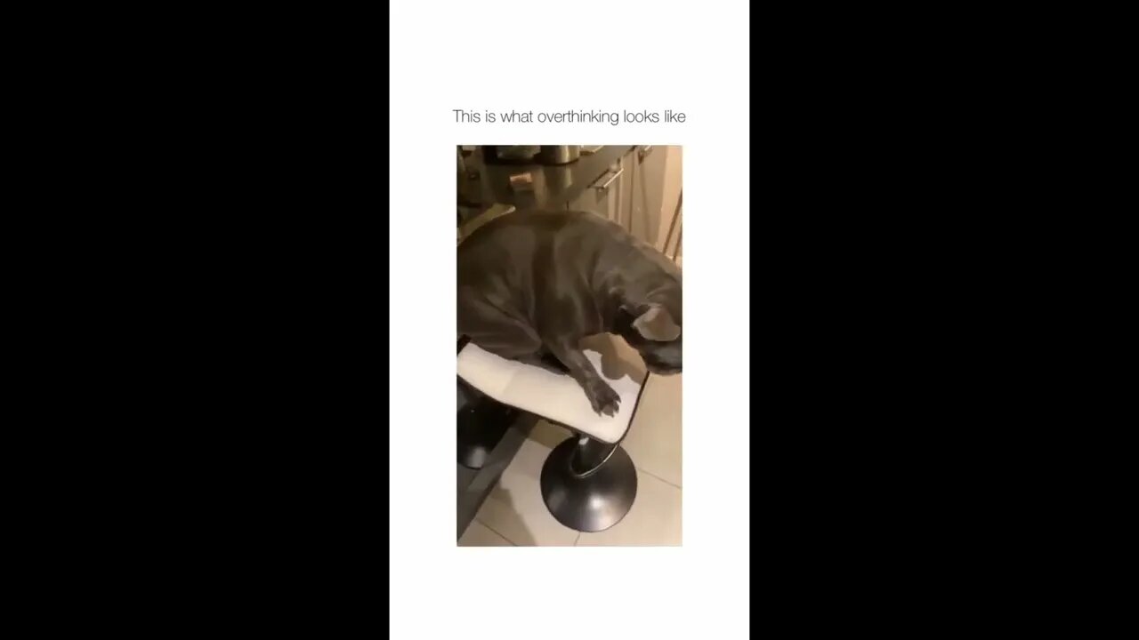 That is what overthinking looks like