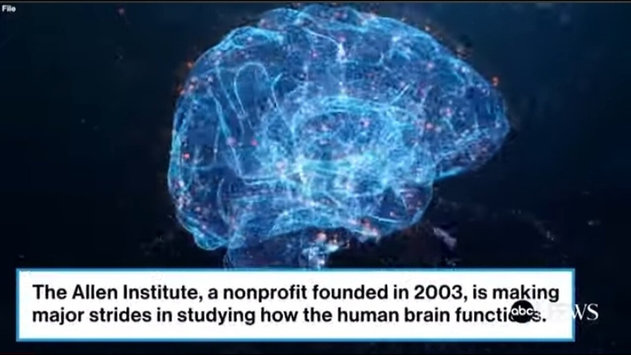 How This Nonprofit is advancing human brain cell mapping.