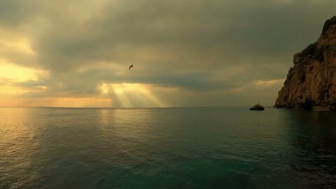 The sound of the ocean for sleep. Seagulls Waves Surf noise. White noise