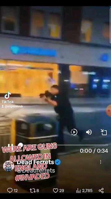 BRITISH ARMED POLICE TERRORISING BRITISH PEOPLE