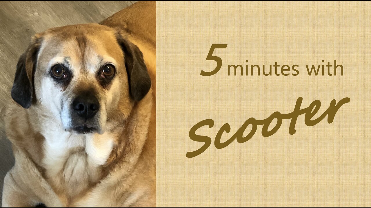 5 Minutes with Scooter - Running to sin