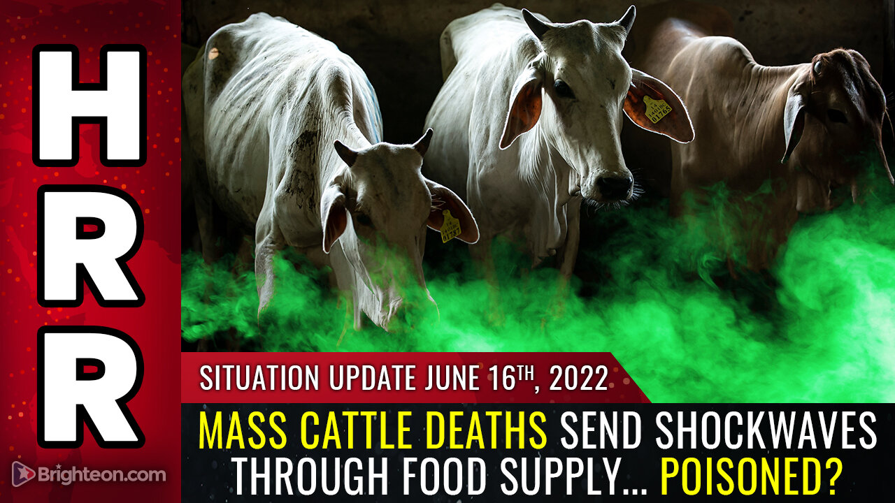 Situation Update, 6/16/22 - Mass CATTLE deaths...