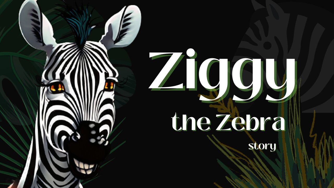 funny story ziggy the zebra