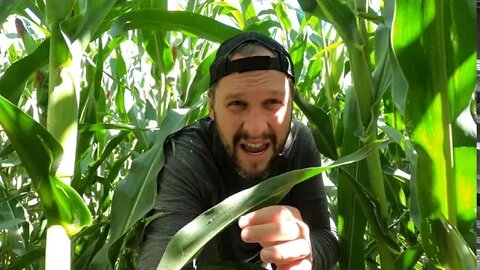 Exploring the Corn- Quick Adventure Episode#1