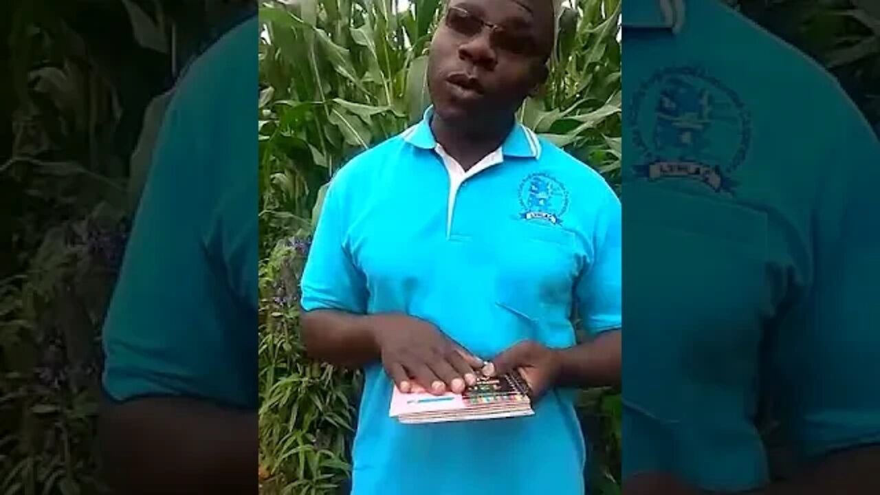 Division B Chairman
