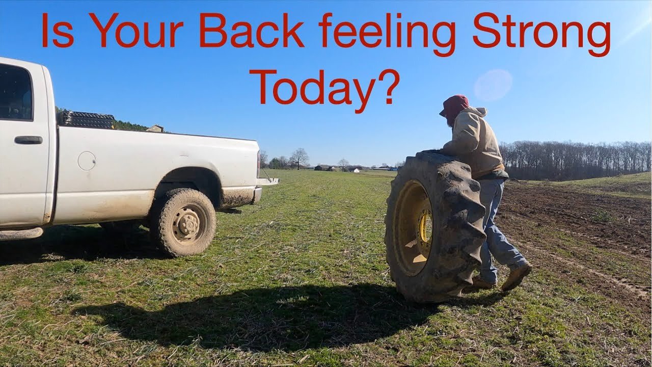 Is Your Back feeling Strong Today?