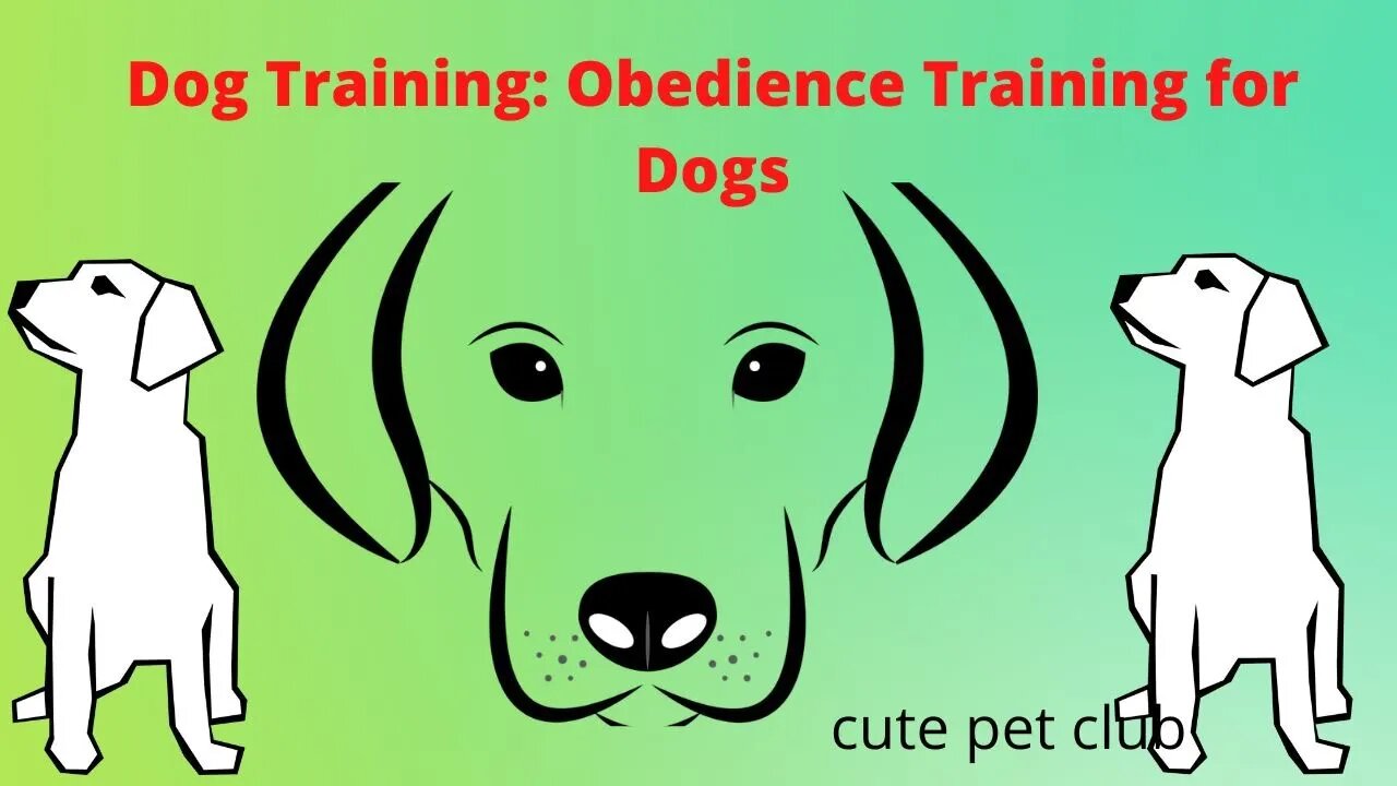 Obedience Training for Dogs #dog #dog training, #dog, #doglovers