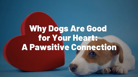 Why Dogs Are Good for Your Heart: A Pawsitive Connection