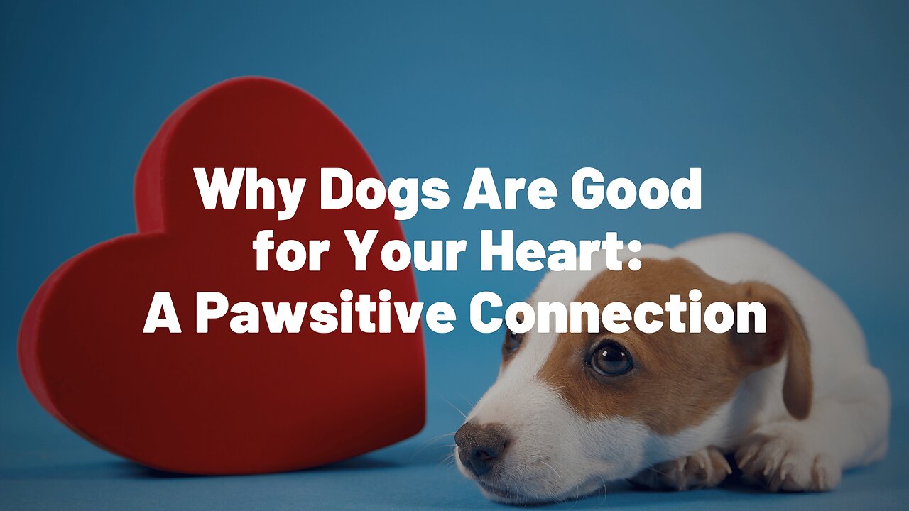 Why Dogs Are Good for Your Heart: A Pawsitive Connection