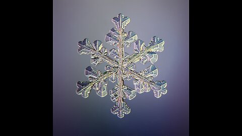 Claud Bernardin's poem “Purity”
