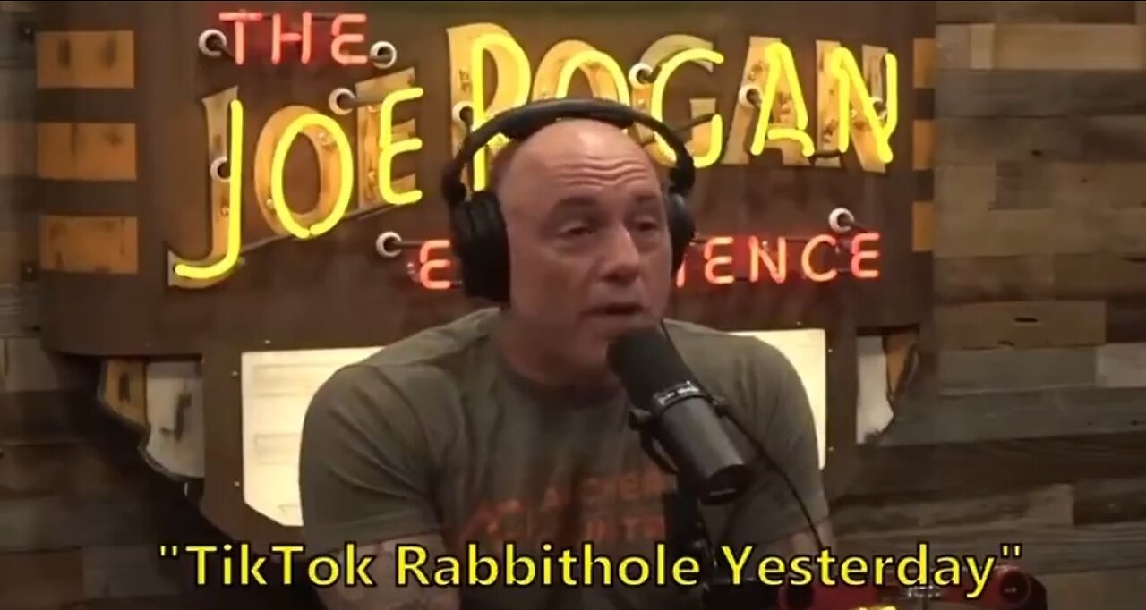 DETAILED INFORMAL ANALYSIS OF THE SMALL PRINT ON TIK TOK.