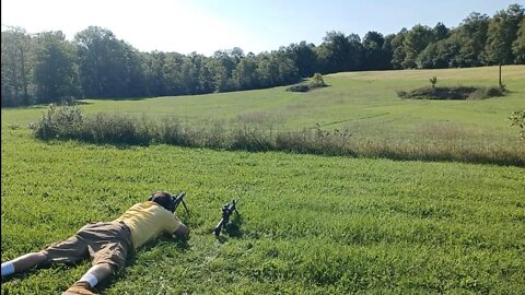 300 yds Palmetto AR-15