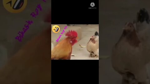 New hen Funny video 2022, viral video 2022, viral funny video, viral funny shorts, how to make funny