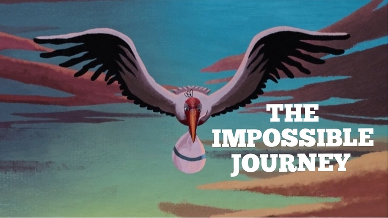 THE IMPOSSIBLE JOURNEY