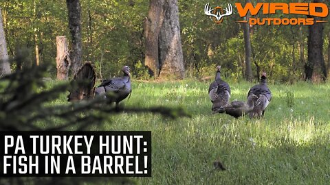 PA Turkey Hunt – Fish In A Barrel!