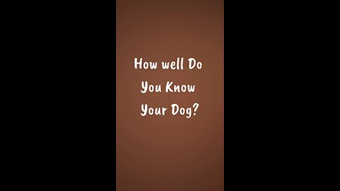 How well Do you know your Dog?