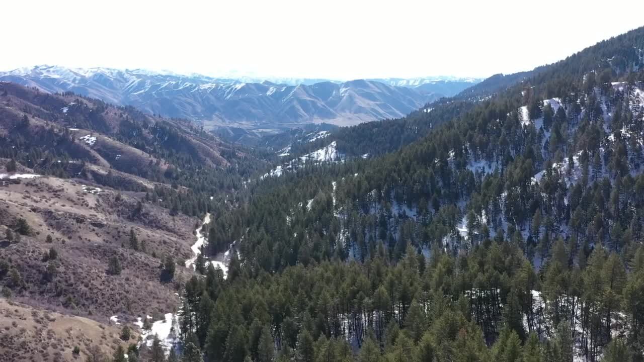 Checking the conditions before the Race to Robie Creek on Saturday