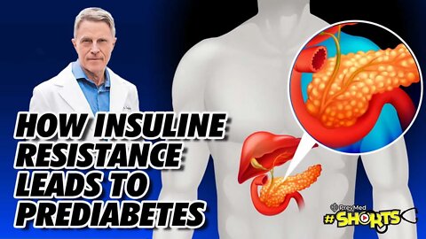#SHORTS How Insulin Resistance Leads to Prediabetes