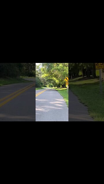 Morning Walk To The Store