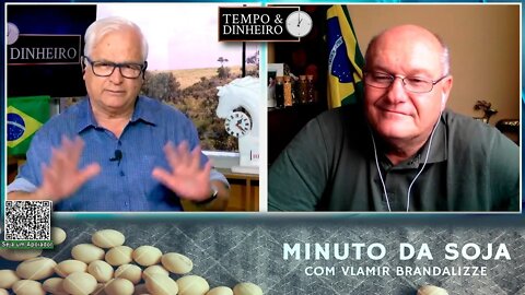 Milho ainda mostra momento de cavalinho encilhado