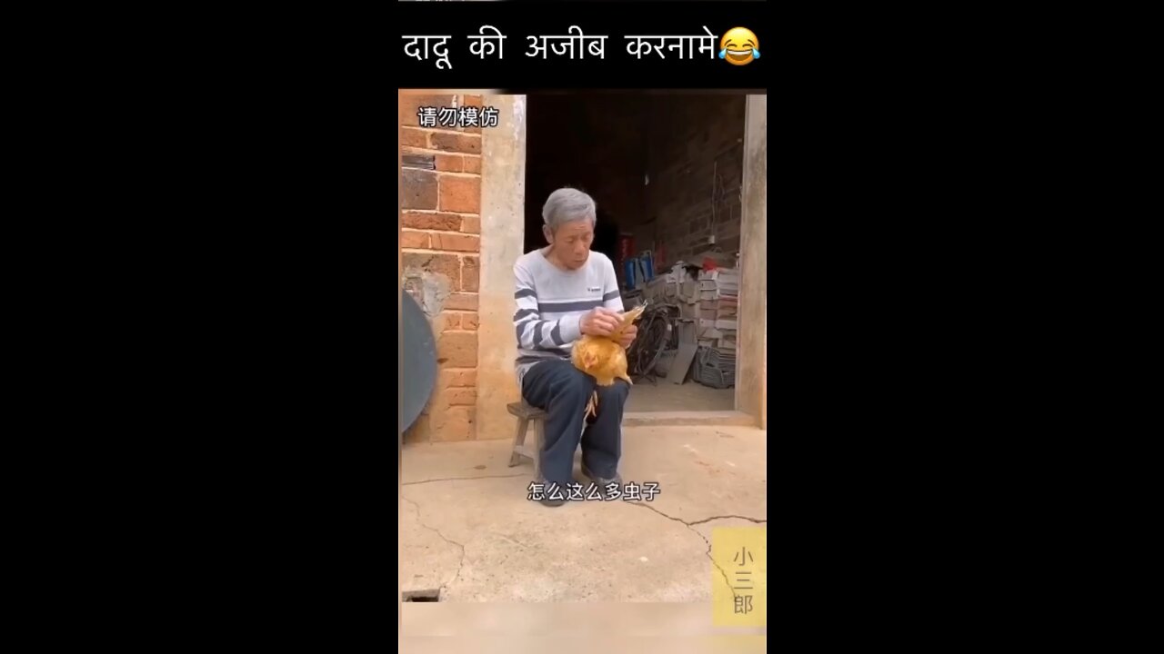 Try not to laugh 🤣🤣