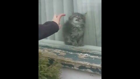 Me, at the office on Monday🥱