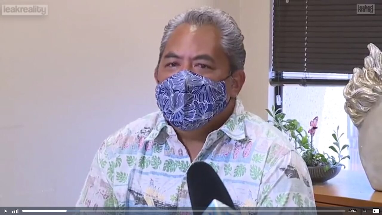 45,000 Dead Americans in 72 Hours Hawaii Attorney Michael Green Files Class Action Lawsuit