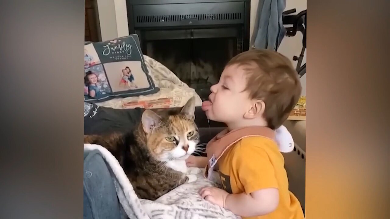 The child is biting the cat