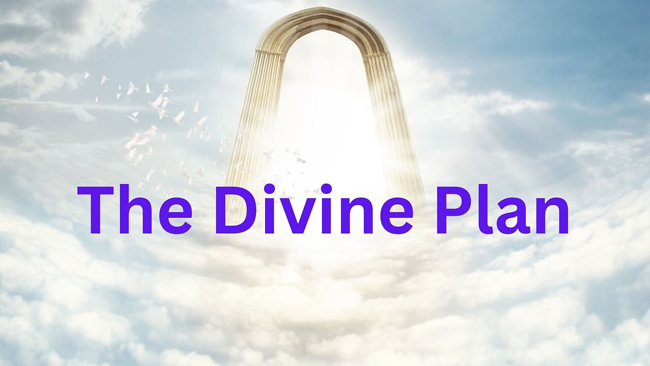 The Divine Plan ∞Thymus: Channeled by Daniel Scranton 11-24-24