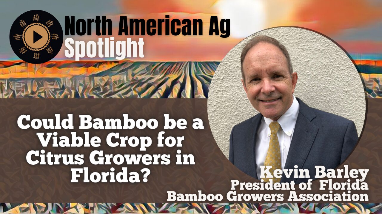 Could Bamboo be a Viable Crop for Citrus Growers in Florida?