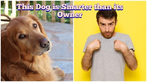 Dog has a trick for his owner to get unlimited treats