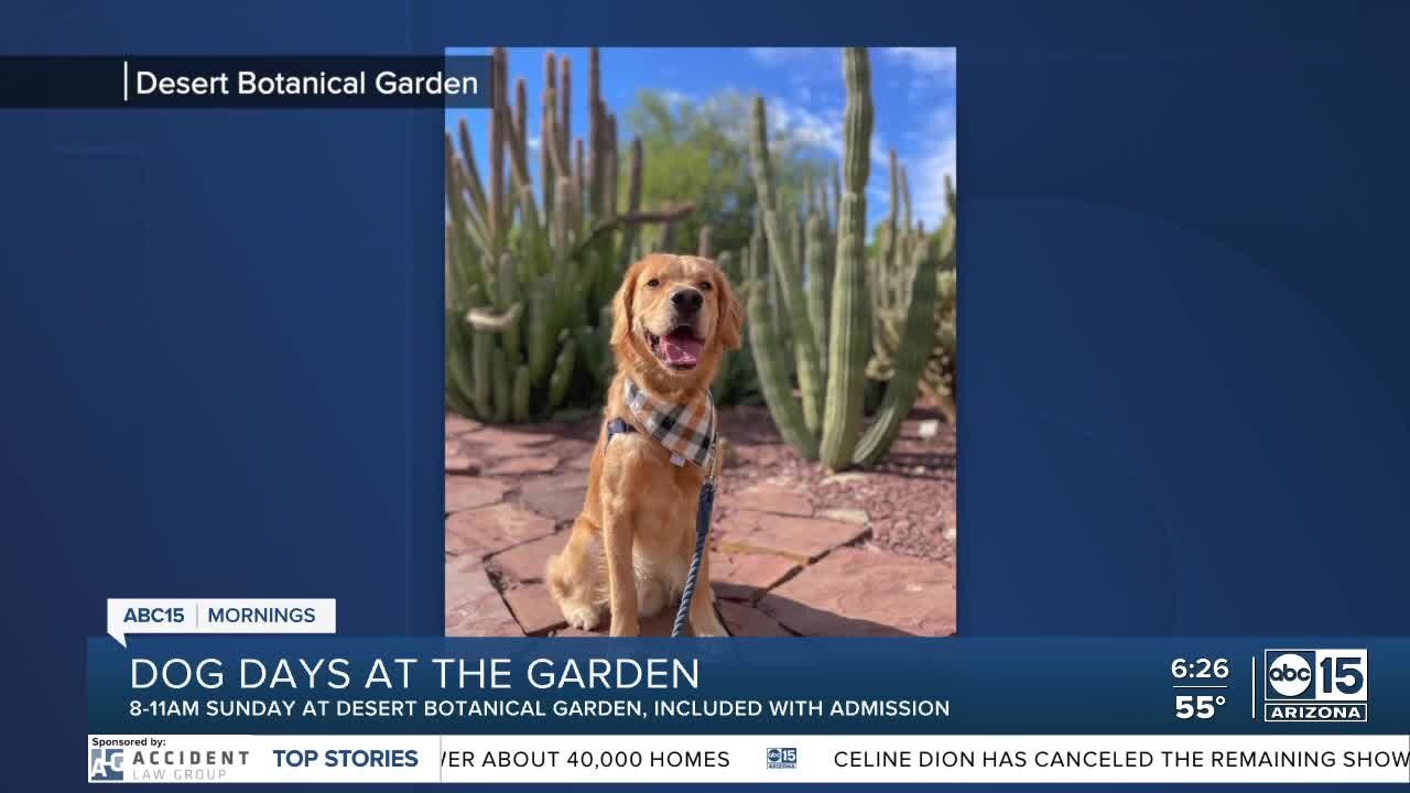 The BULLetin Board: Dog Days at the Garden