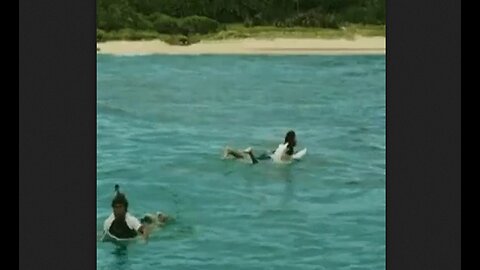 Shark Chooses A Surfer For His Lunch